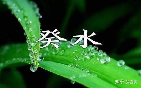 甲木癸水|十天干类象与喜忌—癸水